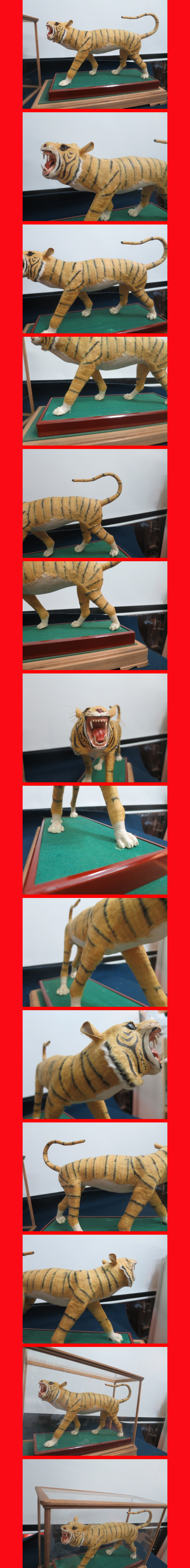 ようこそ！私共のオークションへ